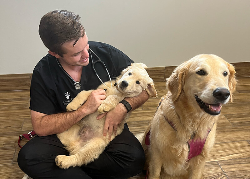 Professional veterinary team at Towne Park Animal Care Center in Huntsville